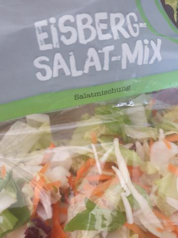 Chef Select Eisberg-Salat-Mix by HasoST | Hochgeladen von: HasoST