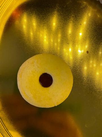 Hochgeladen von: dahnabraun Hochgeladen von: dahnabraun