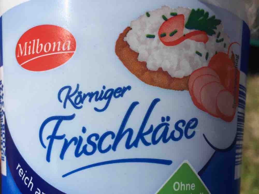 Frischkäse, körnig von HolyMolly | Hochgeladen von: HolyMolly