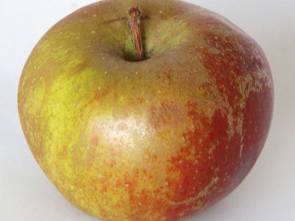 Hochgeladen von: Karin Stöhr