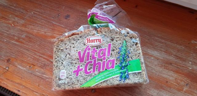 Vital + Chia Brot | Hochgeladen von: Anonyme