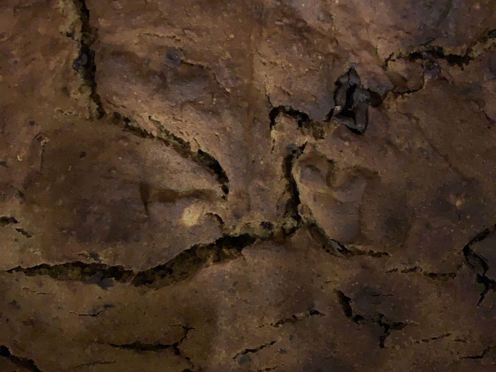 Hochgeladen von: leabel