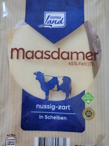 Massaker Käse von QuentinSport | Hochgeladen von: QuentinSport