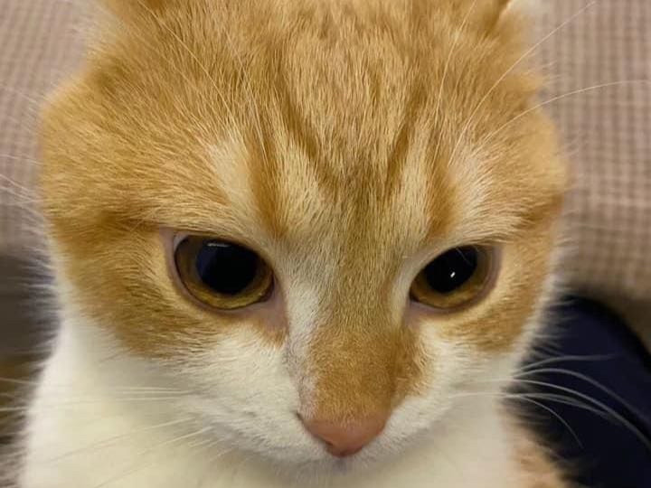 Hochgeladen von: chariee