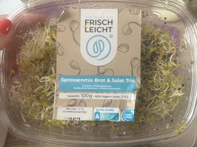 Sprossenmix Brot&Salate von akinotenshi | Hochgeladen von: akinotenshi Sprossenmix Brot&Salate von akinotenshi | Hochgeladen von: akinotenshi