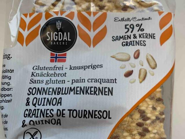 Knäckebrot Sonnenblumenkerne&Quinoa von Closomatiker | Hochgeladen von: Closomatiker