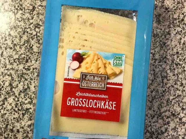 Leicht  Große Loch Käse von brandyvag | Hochgeladen von: brandyvag