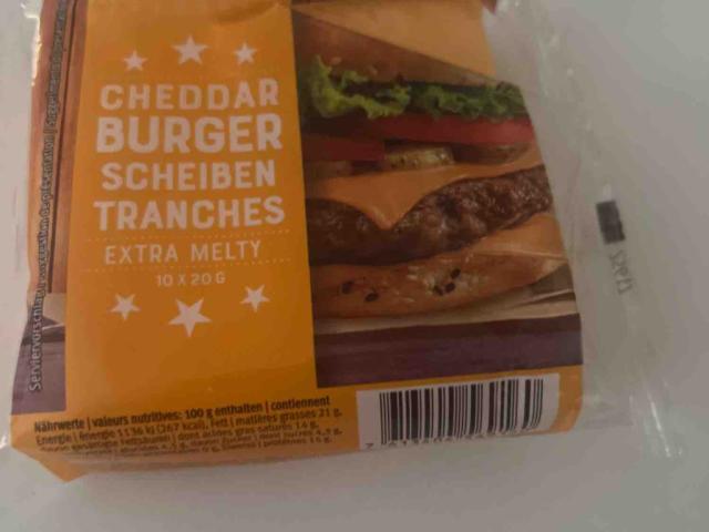 Cheddar Burger Scheiben von Guga2005 | Hochgeladen von: Guga2005