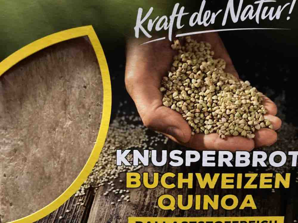 Knusperbrot Buchweizen Quinoa von Pueppi1893 | Hochgeladen von: Pueppi1893