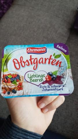 Obstgarten Lieblingsbeeren rote und schwarze Johannisbeere von J | Hochgeladen von: JenPi