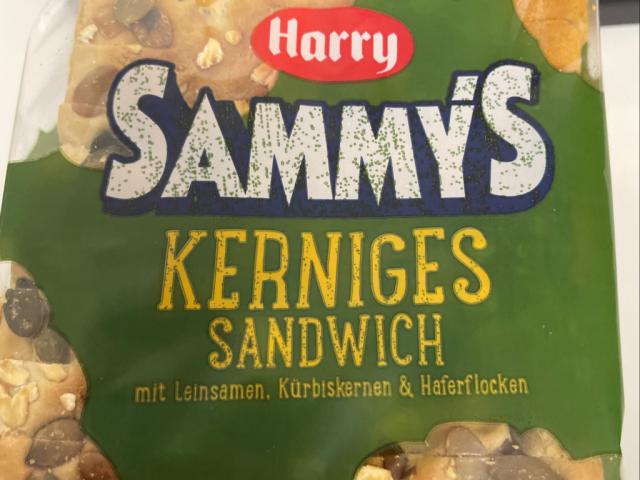 Sammys Kerniges Sandwich von maike.krumbach | Hochgeladen von: maike.krumbach