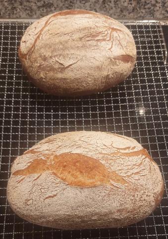 Weizenbrot mit frischem Sauerteig&Hefe  von Gabi-CH | Hochgeladen von: Gabi-CH