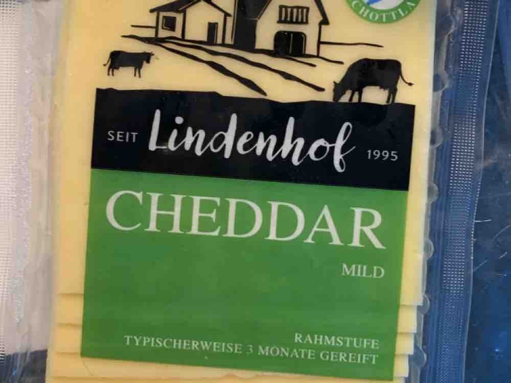 Cheddar, mild von liam1ua | Hochgeladen von: liam1ua