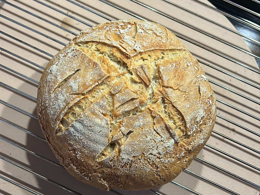 Krustenbrot mit Honig RS von xocharlie96 | Hochgeladen von: xocharlie96 Krustenbrot mit Honig RS von xocharlie96 | Hochgeladen von: xocharlie96