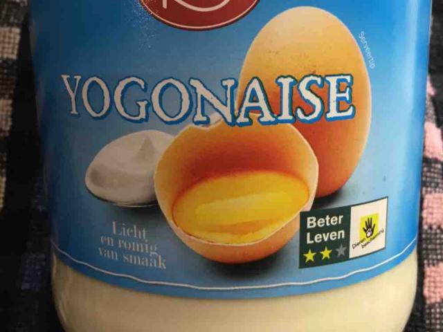 Yogonaise, Light von uspliethoff | Hochgeladen von: uspliethoff