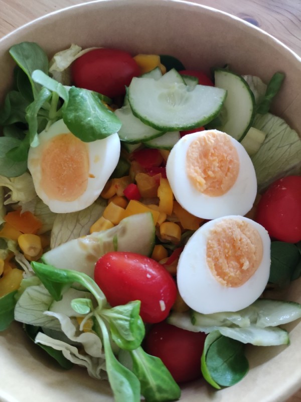 Salat Aktiv von rheumaeule | Hochgeladen von: rheumaeule