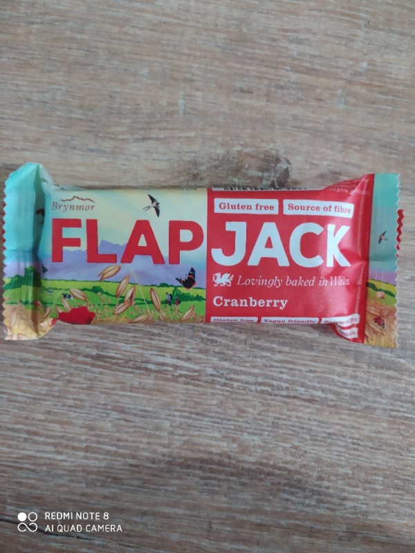 flapjack Cranberry, Gluten free, Vegan friendly von HanneMarieSo | Hochgeladen von: HanneMarieSophie
