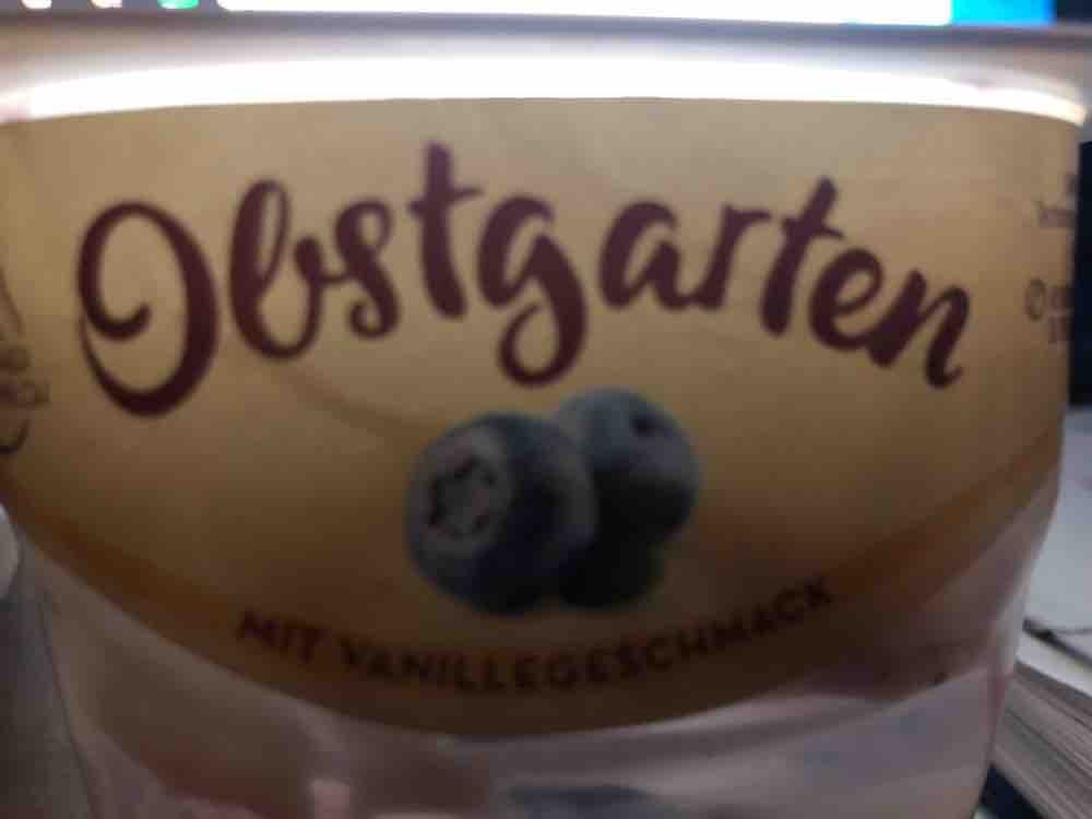 Obstgarten Heidelbeere, mit Vanillegeschmack von domi2763 | Hochgeladen von: domi2763