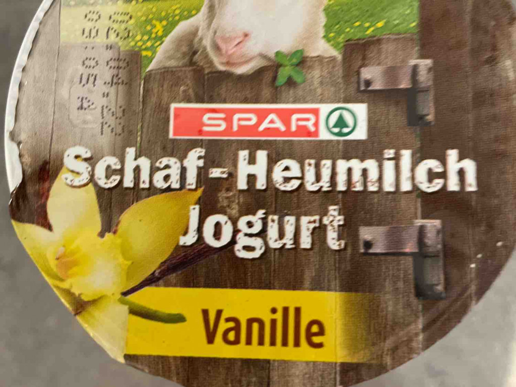 Schaf-Heumilch Jogurt, Vanille von Sue2022 | Hochgeladen von: Sue2022