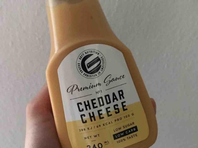 Premium Sauce, Cheddar Cheese von marenha | Hochgeladen von: marenha