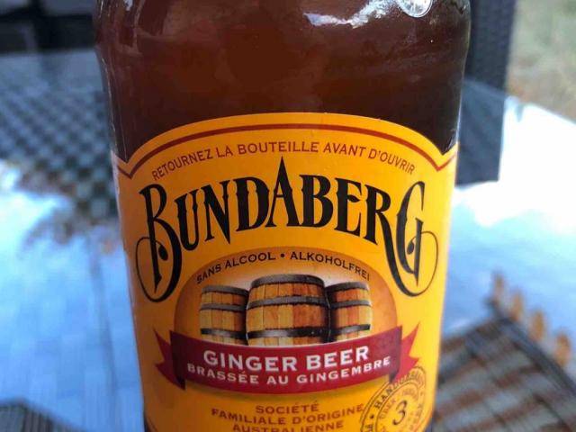 ginger beer von RogerSp | Hochgeladen von: RogerSp