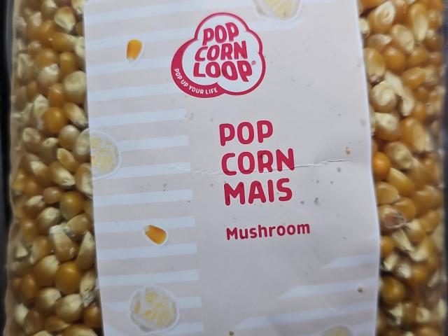 Popcorn Mais, Mushroom von AS2909 | Hochgeladen von: AS2909