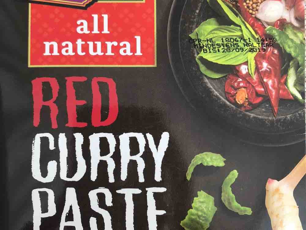 Red Curry Paste, all natural von tanja1644 | Hochgeladen von: tanja1644