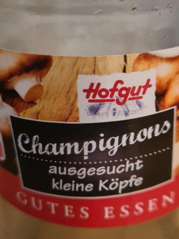 Champignons, Kleine Köpfe von julehst | Hochgeladen von: julehst