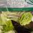Salanova Kopfsalat, mit Petersilie von YuNabi | Hochgeladen von: YuNabi