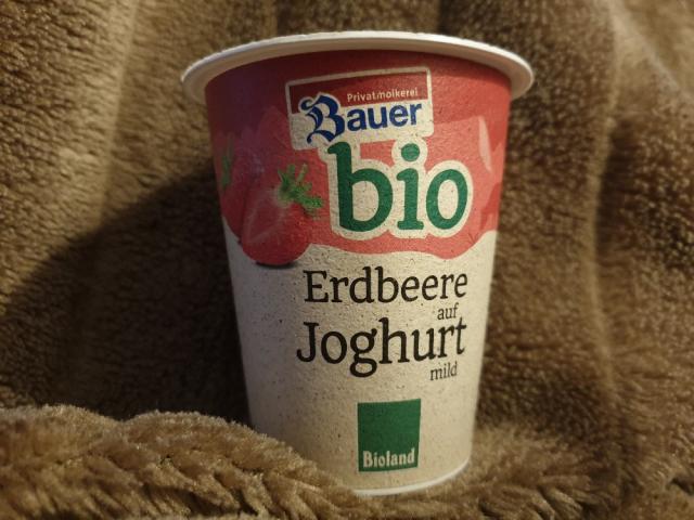 Erdbeer Joghurt, Bio von schmeckehecke | Hochgeladen von: schmeckehecke