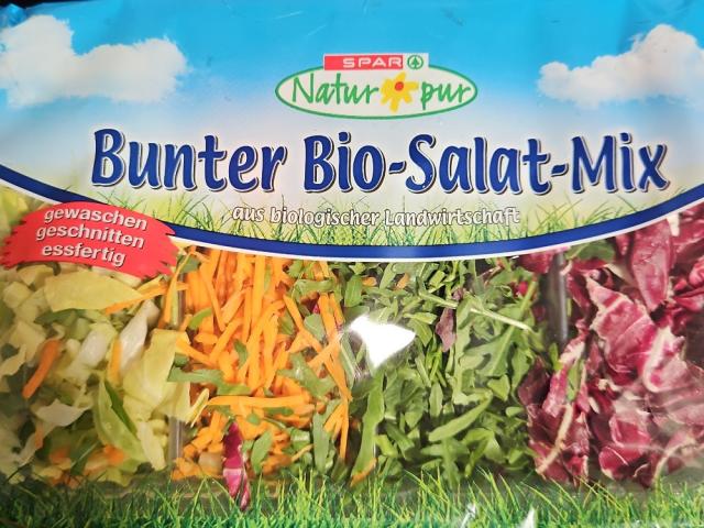 Bunter Bio Salat mix von ManiBaiger | Hochgeladen von: ManiBaiger