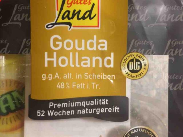 Gouda Holland jung, 48% Fett i. Tr. von lili64 | Hochgeladen von: lili64