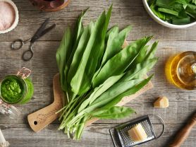 Hochgeladen von: j.zels