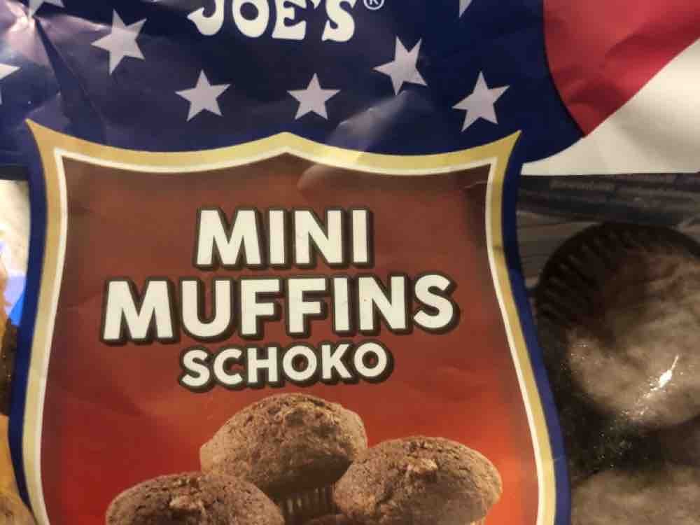 Mini Muffins, Schoko von IrimaNiquesse | Hochgeladen von: IrimaNiquesse