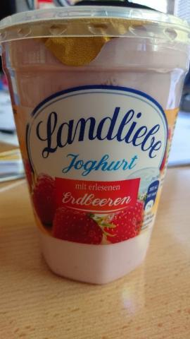Joghurt, mit erlesenen Erdbeeren von Manu 7674 | Hochgeladen von: Manu 7674