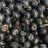 Blaubeeren von hoema2019 | Hochgeladen von: hoema2019