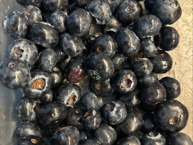 Blaubeeren von hoema2019 | Hochgeladen von: hoema2019 Blaubeeren von hoema2019 | Hochgeladen von: hoema2019