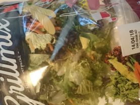 Salat der Saison, Grillmix | Hochgeladen von: mofzx