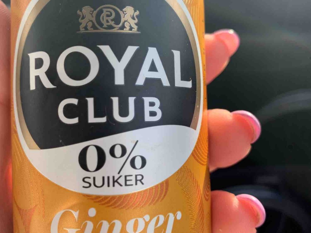 Ginger Beer, 0% Suiker von waldvolk | Hochgeladen von: waldvolk