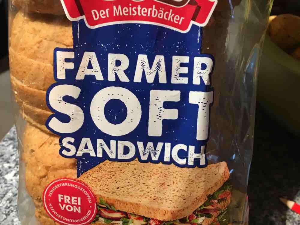Sandwich Toast Vollkorn, Ölz von Familiestrobl | Hochgeladen von: Familiestrobl
