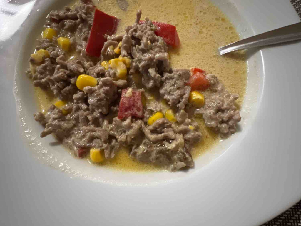 Hackfleisch Suppe von nicnin | Hochgeladen von: nicnin