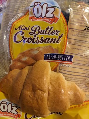 Mini Butter Croissant by alienicious | Uploaded by: alienicious