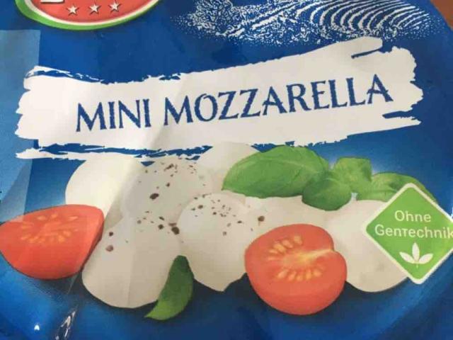 Mini Mozzarella by kmenelli | Uploaded by: kmenelli