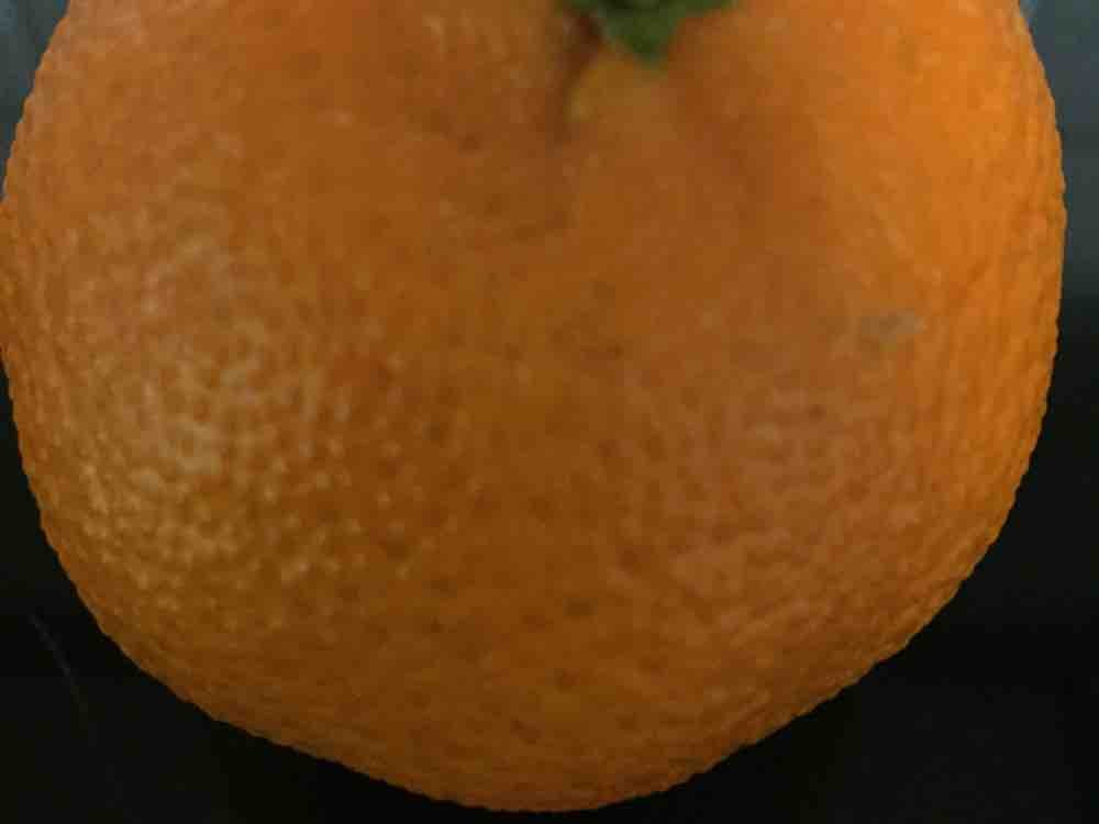 Mandarinen-Orangen von ChrisXP13 | Hochgeladen von: ChrisXP13