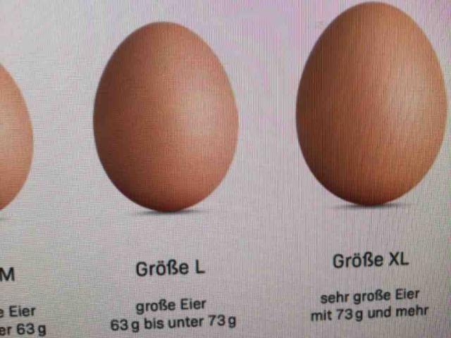 Eier, halt Eier von IAmLegend | Hochgeladen von: IAmLegend