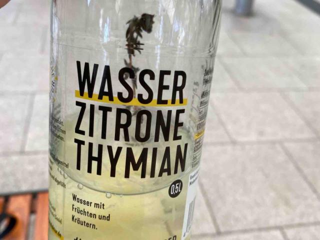 Wasser Zitrone Thymian von Jennegym | Hochgeladen von: Jennegym