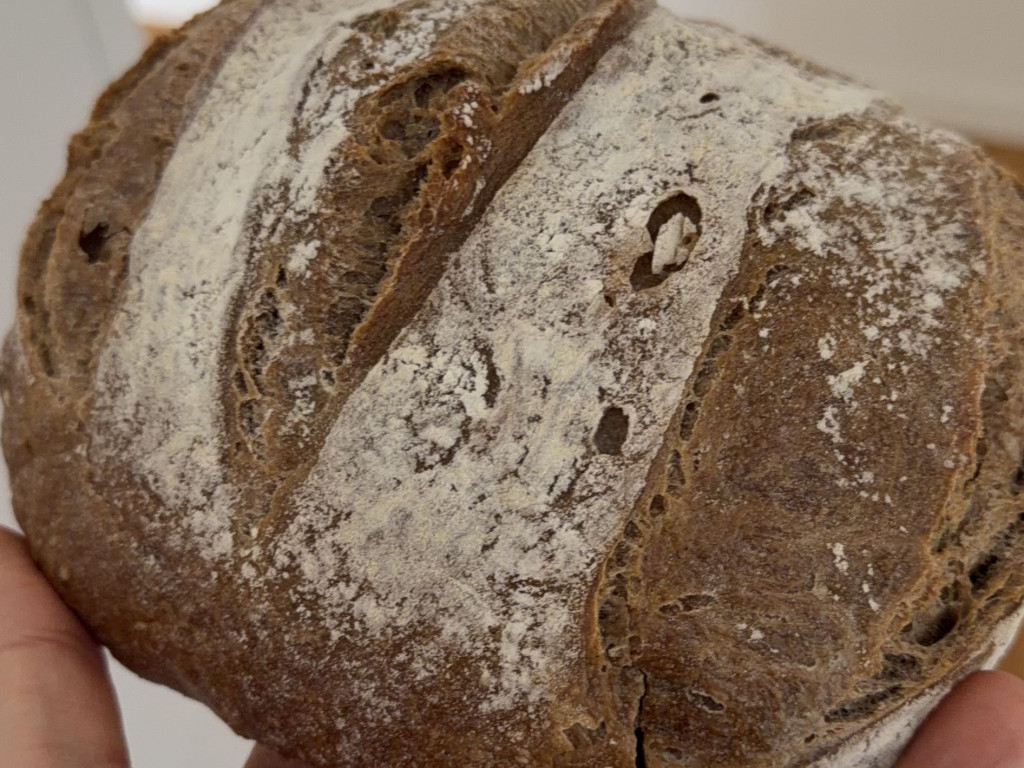 Hochgeladen von: biofilm