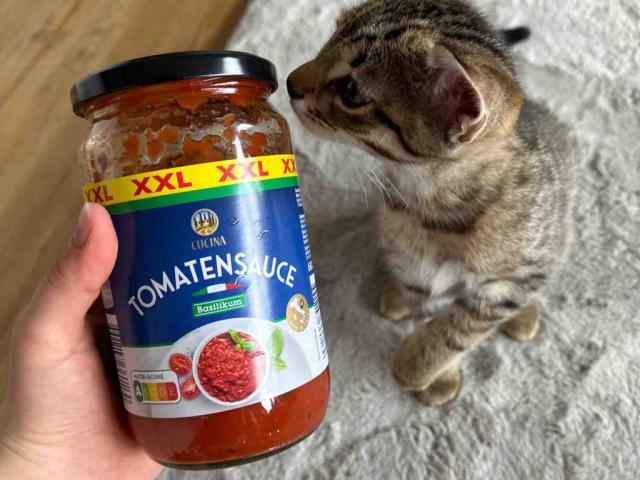 Tomatensauce, Basilikum von jessifltschr | Hochgeladen von: jessifltschr