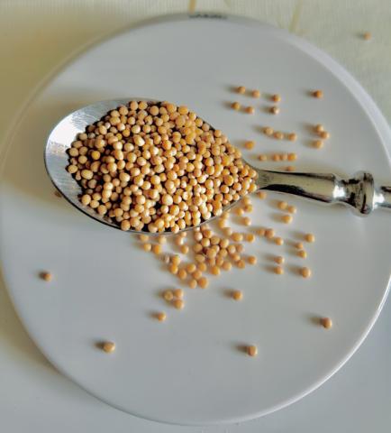 Hochgeladen von: gerald.kunz