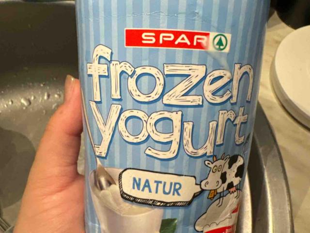 Frozen Joghurt Natur von taems | Hochgeladen von: taems